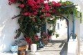 Der mediterrane Garten