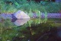 Schwimmteich