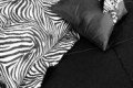 Tierische Muster im Trend
