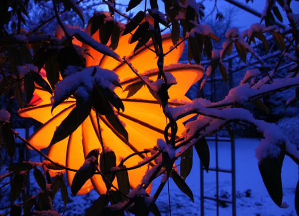Oranger Lampion im dunklen, verschneiten Garten